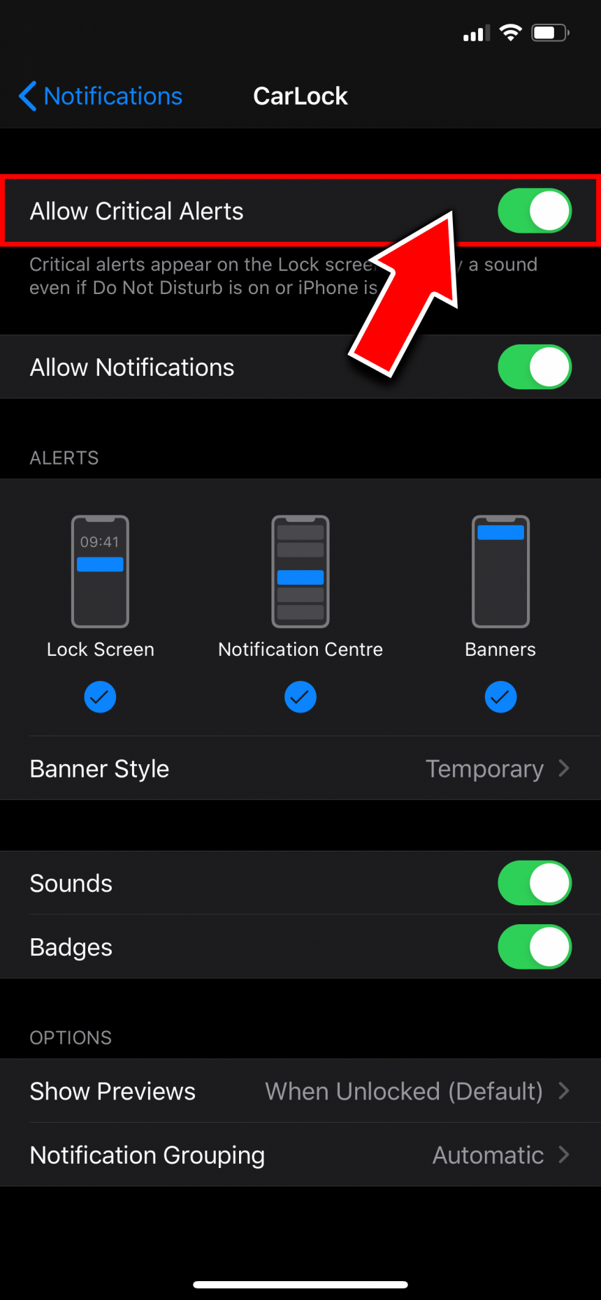 Critical alerts now available for CarLock iOS users - CarLock